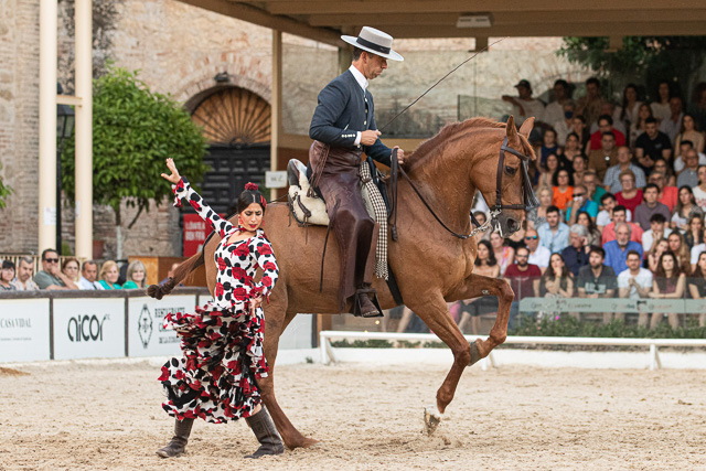 El espectáculo ecuestre Pasión y Duende del Caballo Andaluz en las Caballerizas Reales de Córdoba. Foto: las Caballerizas Reales de Córdoba Cordoba Ecuestre