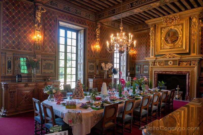 Castillos del Valle del Loira chateau de Cheverny