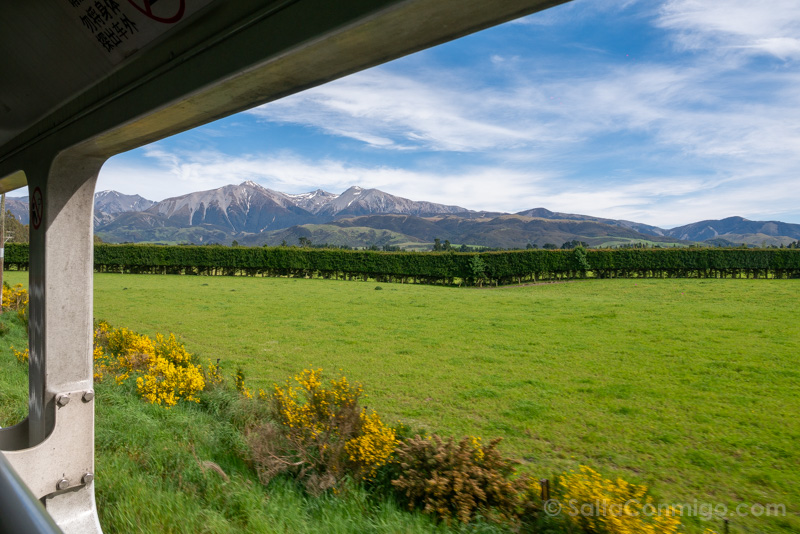 TranzAlpine Train Nueva Zelanda Paisaje