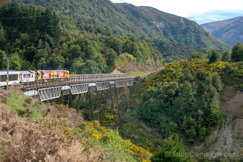 TranzAlpine Train Nueva Zelanda Puente
