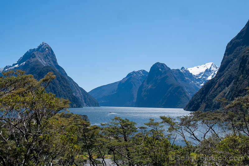 Milford Sound Fiordo Nueva Zelanda Observation Deck