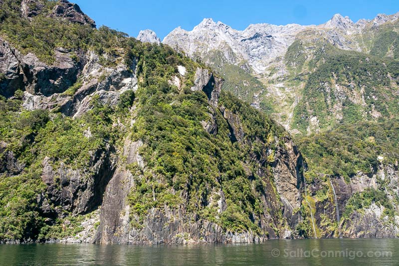 Milford Sound Fiordo Nueva Zelanda Paredes Cascadas Picos