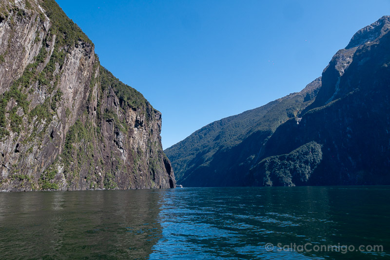 Milford Sound Fiordo Nueva Zelanda Paredes