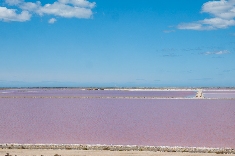 Que Ver en la Camarga Salinas Giraud
