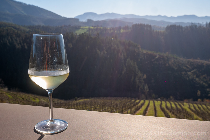 Bodega Berroja Txakoli Paisaje