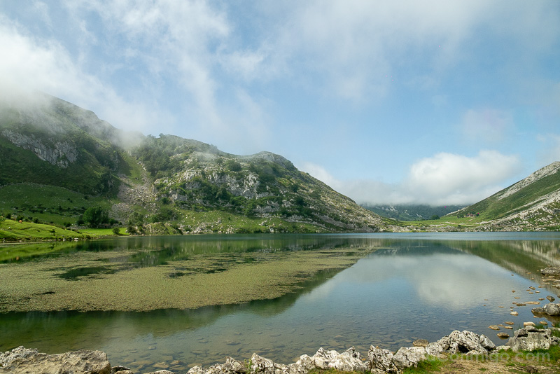 Lagos de Covadonga Lago Enol Orilla