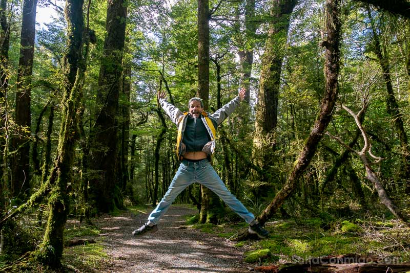Milford Road Lake Gunn Bosque Salto