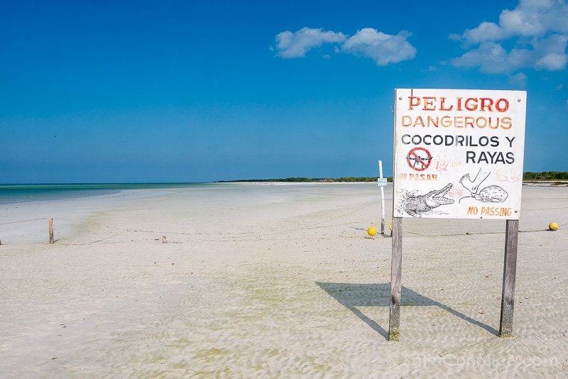 Que Ver en Holbox Playa Cartel Prohibido