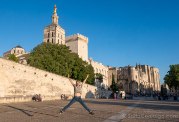 Palacio de los Papas Avignon Exterior Salto