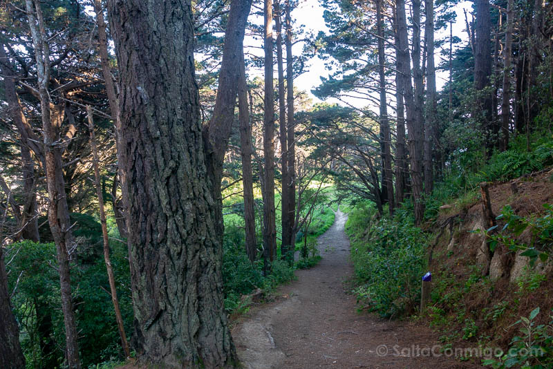 Que Ver en Wellington Mount Victoria Parque Senderos
