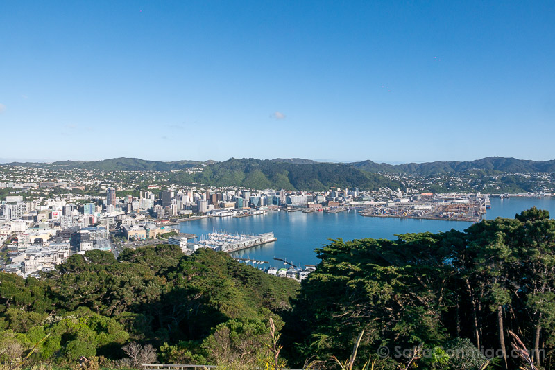 Que Ver en Wellington Mount Victoria Vistas