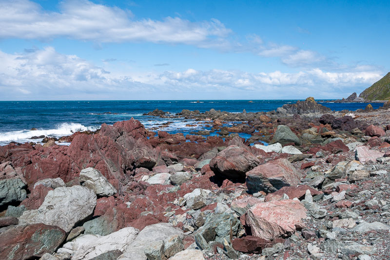 Que Ver en Wellington Red Rocks Coastal Walk