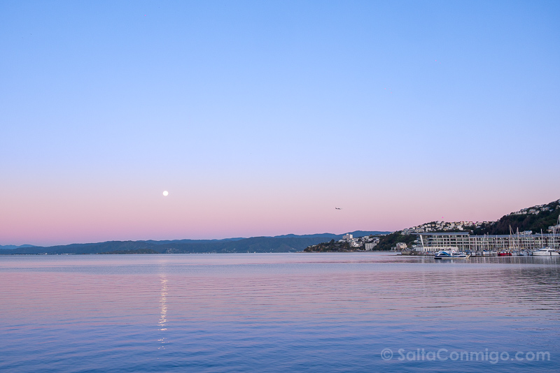 Que Ver en Wellington Waterfront Atardecer