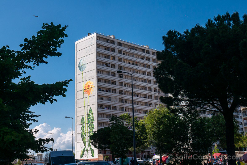 Arte Urbano Marsella MauMA Pissenlit Aurelie Masset