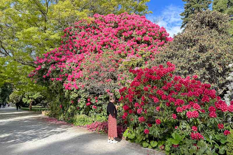 Que Hacer en Queenstown Gardens