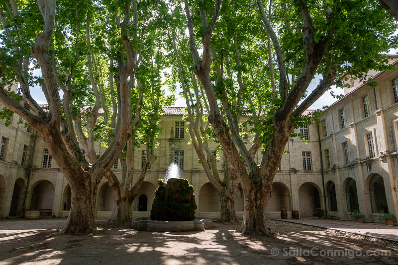 Que Ver en Avignon Hotel Cloitre Saint-Louis Patio