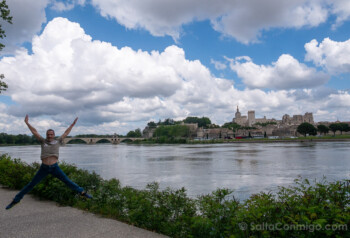 Que Ver en Avignon Mirador Isla Barthelasse Salto
