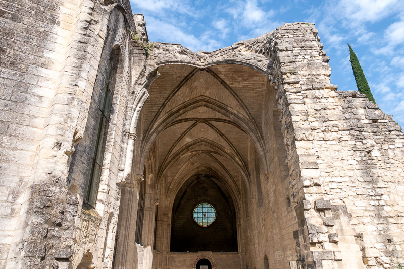 Que Ver en Villeneuve-les-Avignon Cartuja Iglesia Ruina