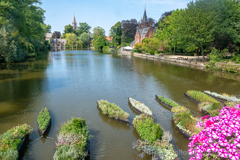 Trienal Brujas Triennale Brugge Grains of Paradise
