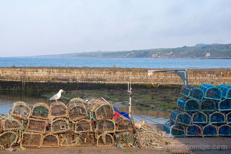 Que Ver en St Andrews Muelle