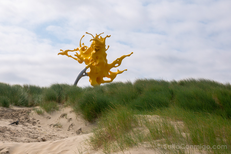 Trienal Beaufort Westende Olnetop Nick Ervinck