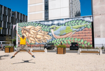 Que Ver en Christchurch Grafiti Salto