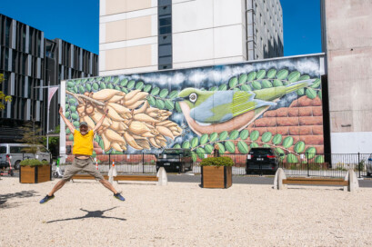 Que Ver en Christchurch Grafiti Salto