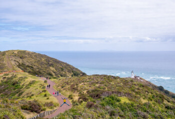 Cape Reinga Faro Salto