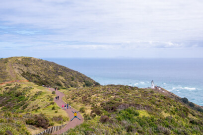 Cape Reinga Faro Salto