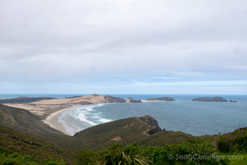 Cape Reinga Nueva Zelanda Mar Tasmania Isla Motuopao