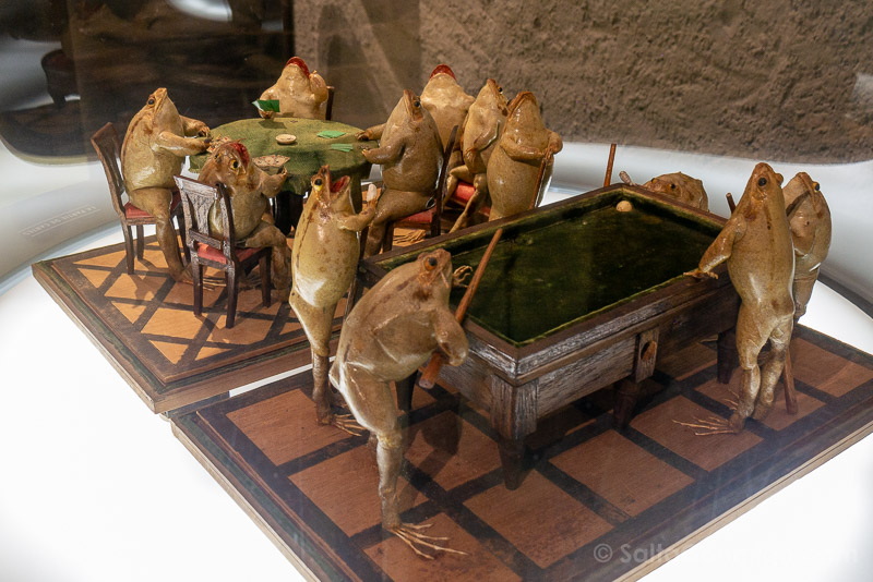 Que Ver en Canton de Friburgo Estavayer-le-Lac Museo Ranas