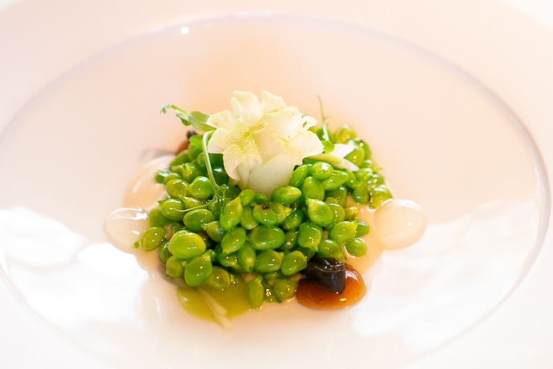 Comer en Girona El Celler de Can Roca Guisantes Brasa Sake