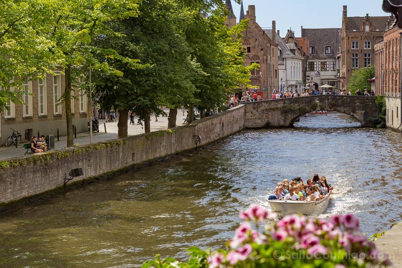 Canal Groenerei en Brujas
