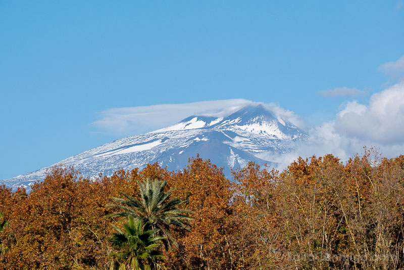 Que Ver en Catania Villa Bellini Etna