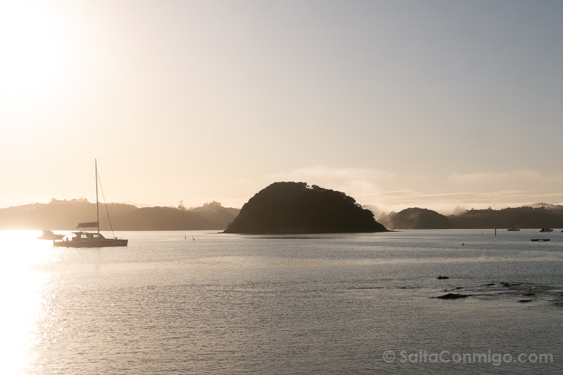 Paihia Bay of Islands Nueva Zelanda  Amanecer Niebla