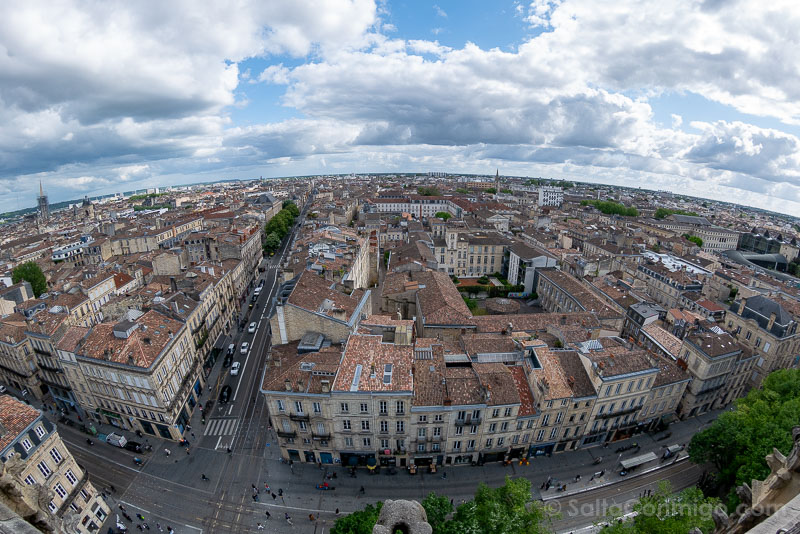 Que Ver en Burdeos Torre Pey Berland Vistas