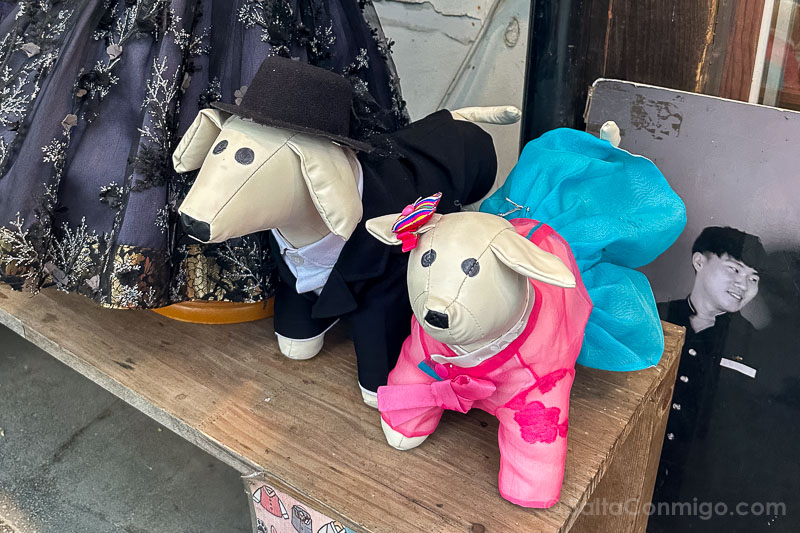 Curiosidades de Corea del Sur Hanbok Perros Jeongju