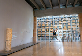 Museo Romano Narbona Narbo Via Muro Lapidario Salto