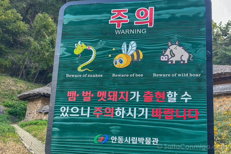 Consejos para Viajar a Corea del Sur Carteles Turistas