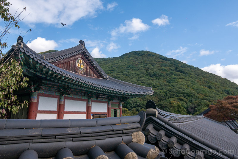Dormir en un Templo en Corea del Sur Beomeosa