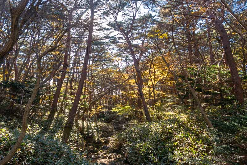 Que Ver en Jeju Parque Nacional Hallasan