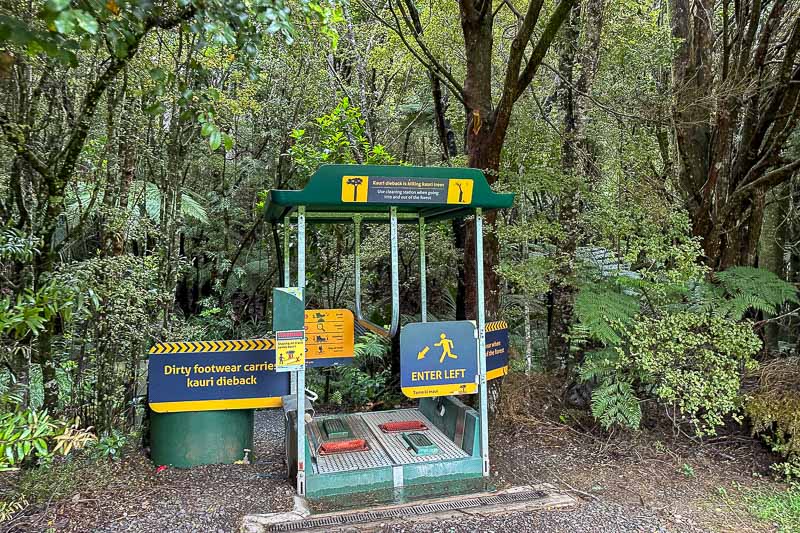 Bosques de Kauri de Nueva Zelanda Trounson Kauri Park Estacion Limpieza