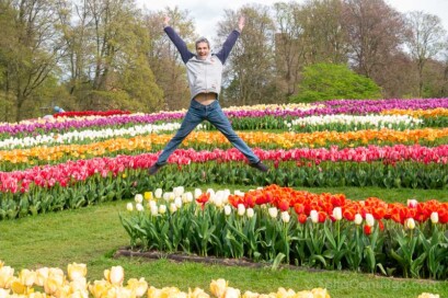 Floralia Brussels Castillo Groot-Bijgaarden Tulipanes Salto