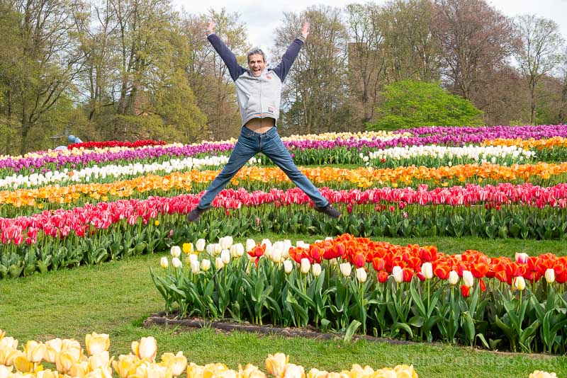 Floralia Brussels Castillo Groot-Bijgaarden Tulipanes Salto
