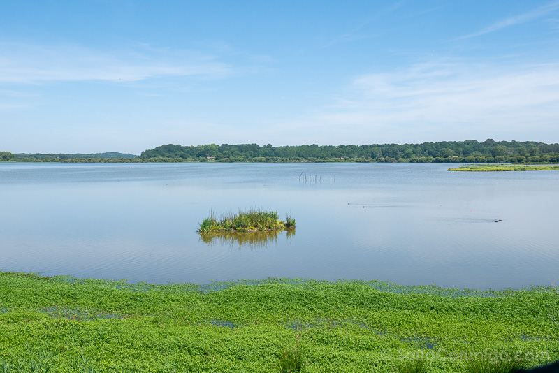 Que Ver en las Landas Labenne Marais d'Orx Laguna