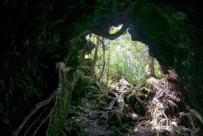 Rangitoto Nueva Zelanda Lava Caves Salida