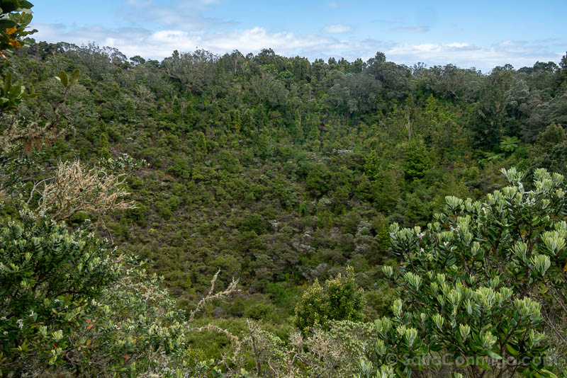 Rangitoto Nueva Zelanda Summit Crater