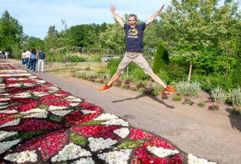 Corpus Christie en Polonia Spycimierz Alfombras Florales Salto