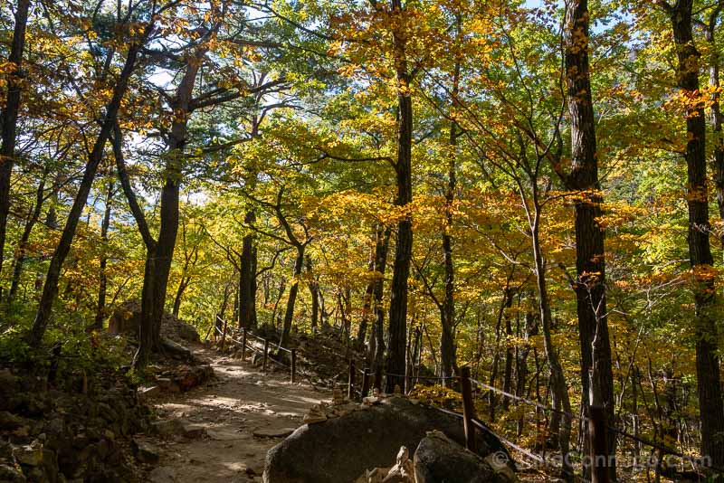 Que Ver en Seoraksan Corea Colores Otono Sendero