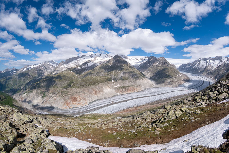 Glaciar Aletsch Suiza Bettmerhorn Ojo Pez